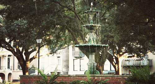 神奇GIF  麻瓜的动画