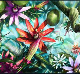 精彩的昆虫世界