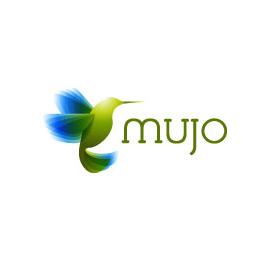 一月 LOGO 创意设计