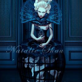 Natalie Shau 插画设计