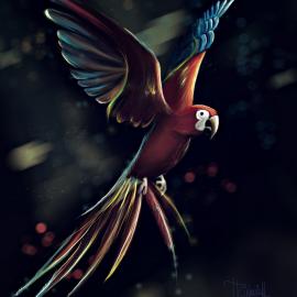 Kinovich 插画设计