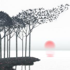 Curious 3D 平面设计