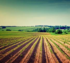 绿草 蓝天 白云