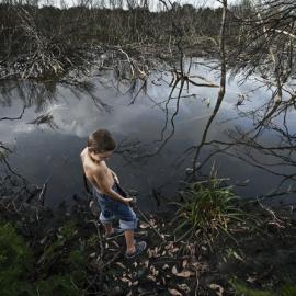 漫步神奇的童年