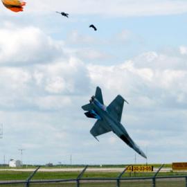 用图片记录 2010 Part I