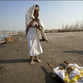 Amy Toensing 摄影作品