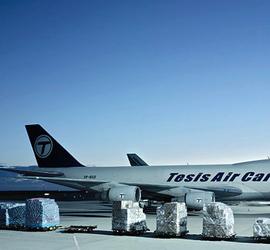 Rüdiger Nehmzow 摄影