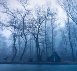 Adam Dobrovits 唯美的世界II