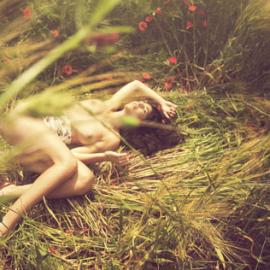 Ludovic Taillandier 摄影