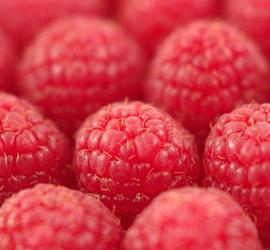 五彩的缤纷世界