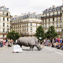 Renaud Marion 摄影作品