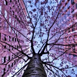 HDR 摄影作品欣赏