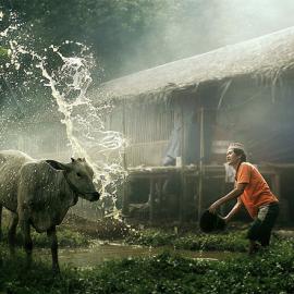 人们向往的乡村生活