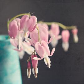 Laura Ruth 摄影作品