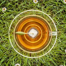 Matt Walford 创意摄影