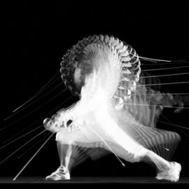 Jacob Sutton 创意摄影