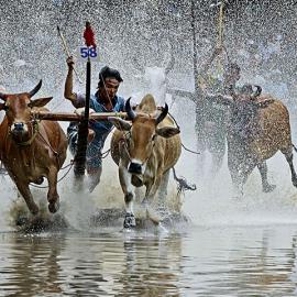 Hoangnamphoto 摄影 P3