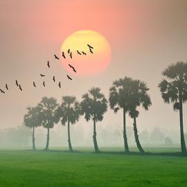 Hoangnamphoto 摄影 P2