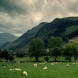 Martin Turner 摄影作品