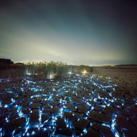 坠落凡间的星星