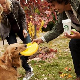 Bryan Sheffield 摄影作品