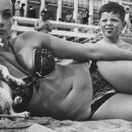 1962年戛纳国际电影节