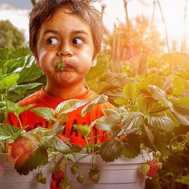 Adrian Sommeling 摄影作品