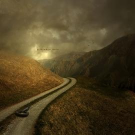 Simone Held 摄影作品