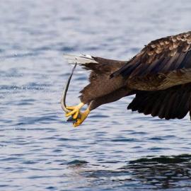 Patrick Pleul 摄影美图