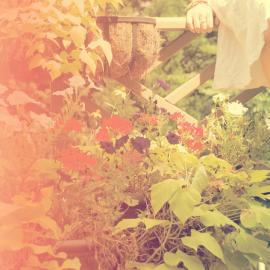 McCormick 唯美摄影