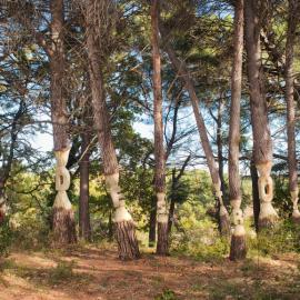 Samuel Guigues 摄影作品