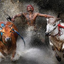 真实的2012年世界