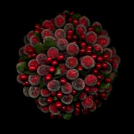 Magda 蔬菜创意摄影