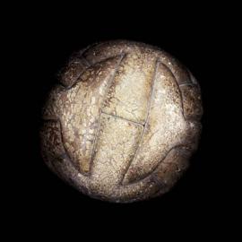 世界杯官方足球历史