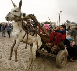 严重超载 物流达人