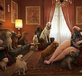 Peter Lippmann 创意设计