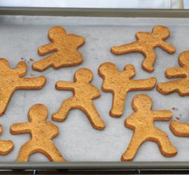 14个独特的饼干磨具