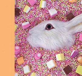 Liz Wolfe 独特设计