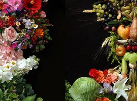 创意水果蔬菜的肖像设计