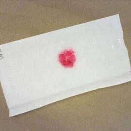 卖菊花 屁股绘画艺术