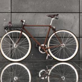 FeO2 手工自行车设计