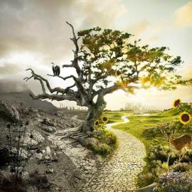 Erik Almas 创意摄影