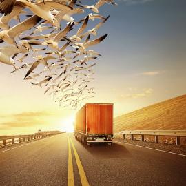 Ahmed Othman 创意设计