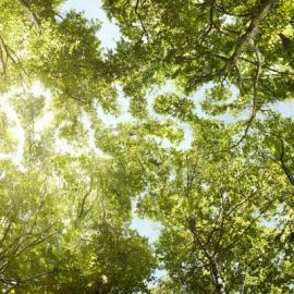 创意平面设计 #17