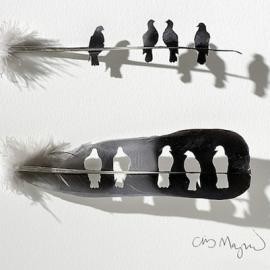 精致的羽毛雕刻