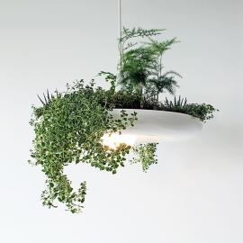 绿色植物吊灯 Babylon