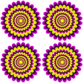 视觉错误 神奇的图片