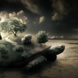 创建一个超现实的龟图片