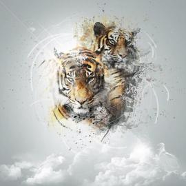 拯救野生动物-与动物设计