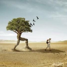 令人难以置信的人类照片处理